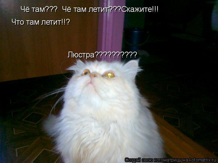 Чё там??? Чё там летит???Скажите!!! Что там летит!!? Люстра??????????... Котоматрица: Чё там??? Чё там летит???Скажите!!! Что там летит!!? Люстра??????????