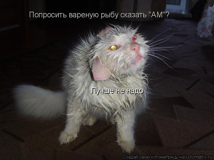 Котоматрица: Попросить вареную рыбу сказать "АМ"? Лучше не надо