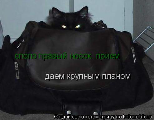 сполз правый носок. прием даем крупным планом... Котоматрица: сполз правый носок. прием даем крупным планом
