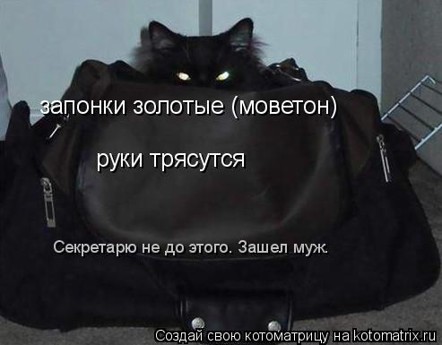 Котоматрица: запонки золотые (моветон) руки трясутся Секретарю не до этого. Зашел муж.