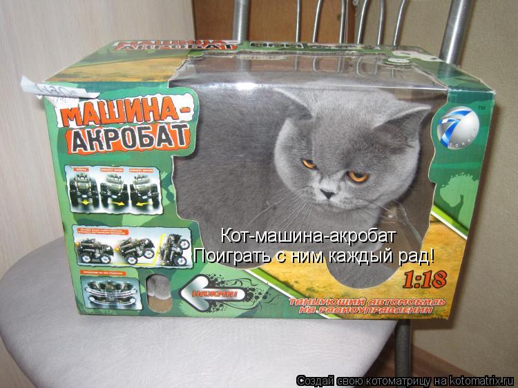 Кот-машина-акробат Поиграть с ним каждый рад!... Котоматрица: Кот-машина-акробат Поиграть с ним каждый рад!