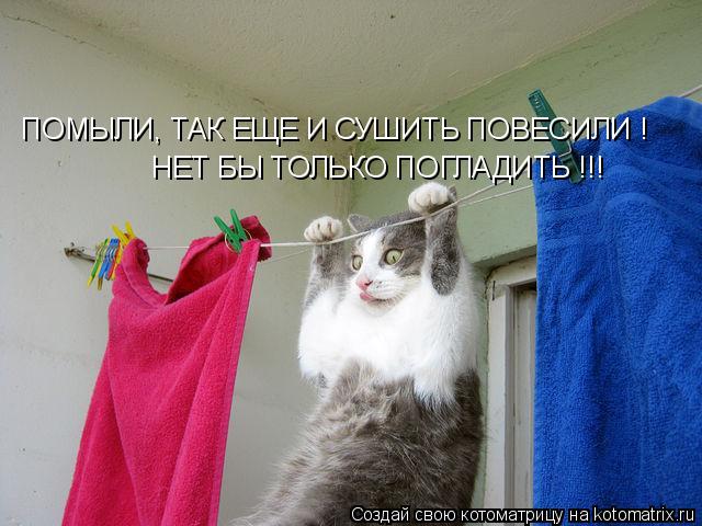 ПОМЫЛИ, ТАК ЕЩЕ И СУШИТЬ ПОВЕСИЛИ ! НЕТ БЫ ТОЛЬКО ПОГЛАДИТЬ !!!... Котоматрица: ПОМЫЛИ, ТАК ЕЩЕ И СУШИТЬ ПОВЕСИЛИ ! НЕТ БЫ ТОЛЬКО ПОГЛАДИТЬ !!!