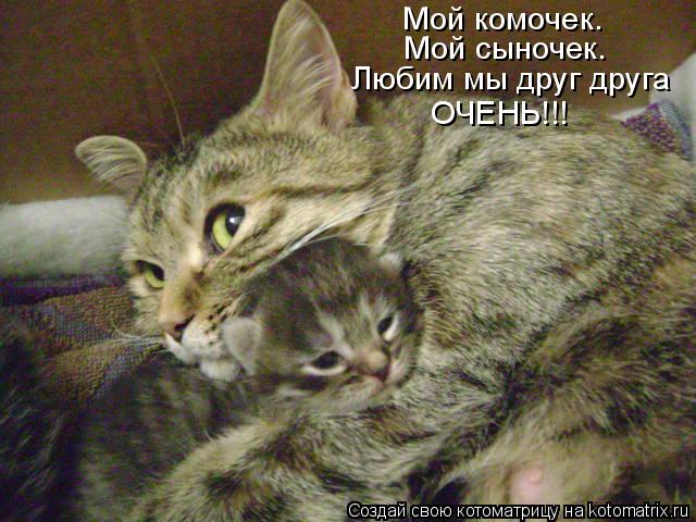Мой комочек. Мой сыночек. ОЧЕНЬ!!! Любим мы друг друга... Котоматрица: Мой комочек. Мой сыночек. ОЧЕНЬ!!! Любим мы друг друга