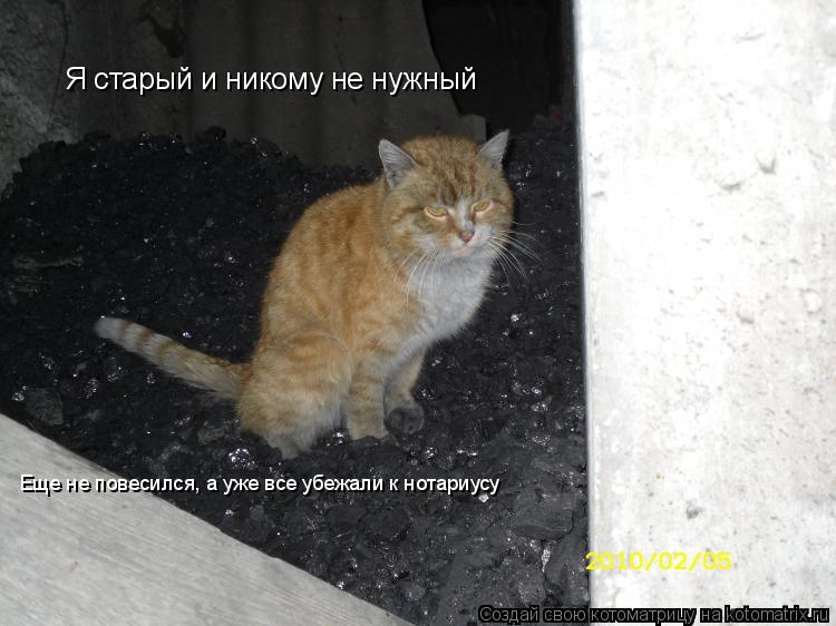 Котоматрица: Я старый и никому не нужный Еще не повесился, а уже все убежали к нотариусу