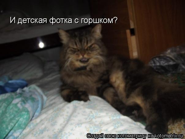 И детская фотка с горшком?... Котоматрица: И детская фотка с горшком?