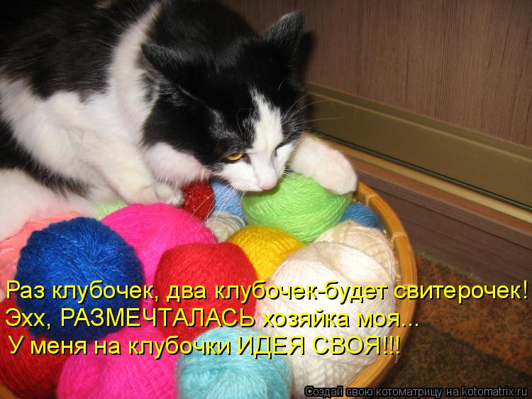 Раз клубочек, два клубочек-будет свитерочек! Эхх, РАЗМЕЧТАЛАСЬ хозяйка моя... У меня на клубочки ИДЕЯ... Котоматрица: Раз клубочек, два клубочек-будет свитерочек! Эхх, РАЗМЕЧТАЛАСЬ хозяйка моя... У меня на клубочки ИДЕЯ СВОЯ!!!