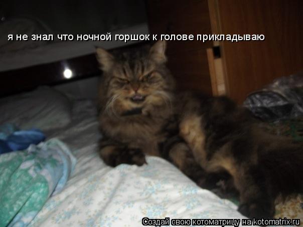 Котоматрица: я не знал что ночной горшок к голове прикладываю