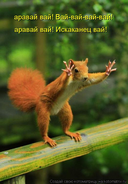 аравай вай! Вай-вай-вай-вай! аравай вай! Искаканец вай!... Котоматрица: аравай вай! Вай-вай-вай-вай! аравай вай! Искаканец вай!