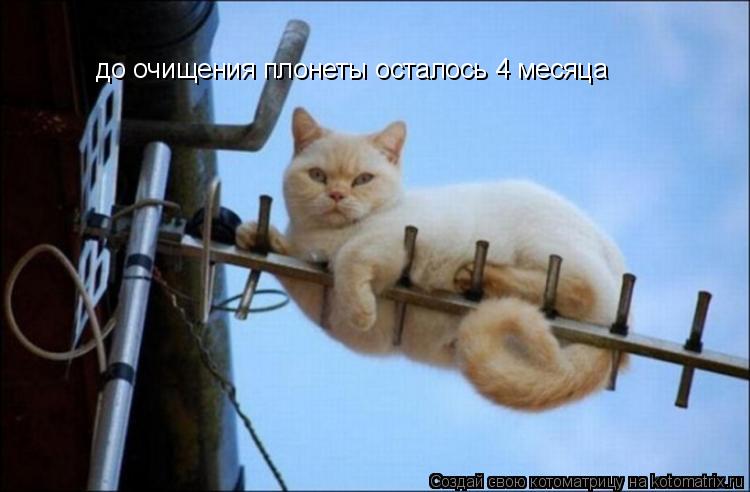 до очищения плонеты осталось 4 месяца... Котоматрица: до очищения плонеты осталось 4 месяца