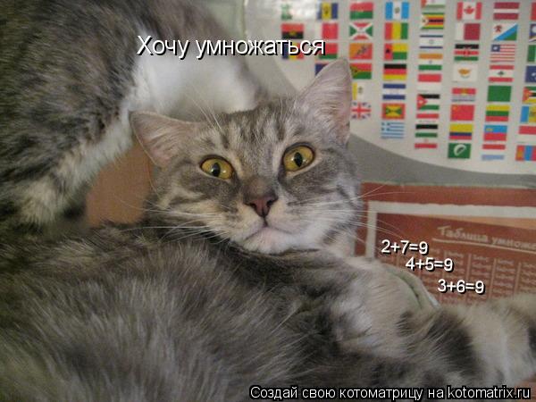 2+7=9 4+5=9 3+6=9 Хочу умножаться... Котоматрица: 2+7=9 4+5=9 3+6=9 Хочу умножаться
