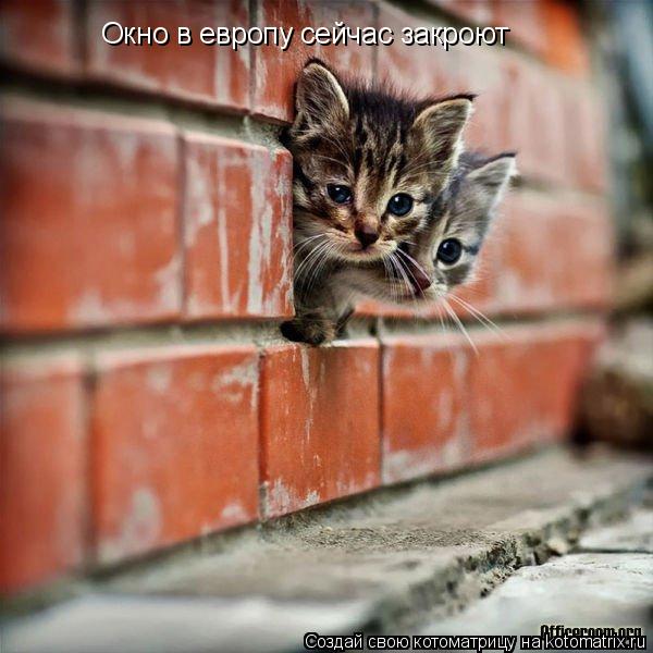 Окно в европу сейчас закроют... Котоматрица: Окно в европу сейчас закроют