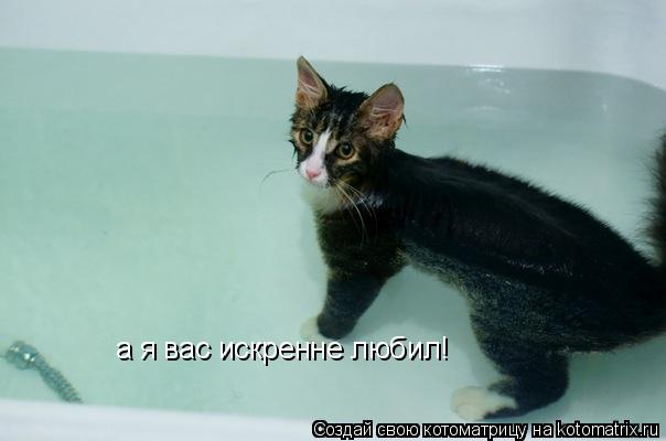 Котоматрица: а я вас искренне любил!