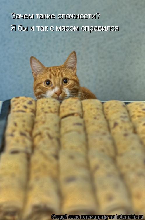 Зачем такие сложности? Я бы и так с мясом справился... Котоматрица: Зачем такие сложности? Я бы и так с мясом справился
