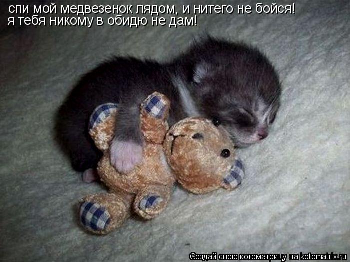 Котоматрица: спи мой медвезенок лядом, и нитего не бойся! я тебя никому в обидю не дам!