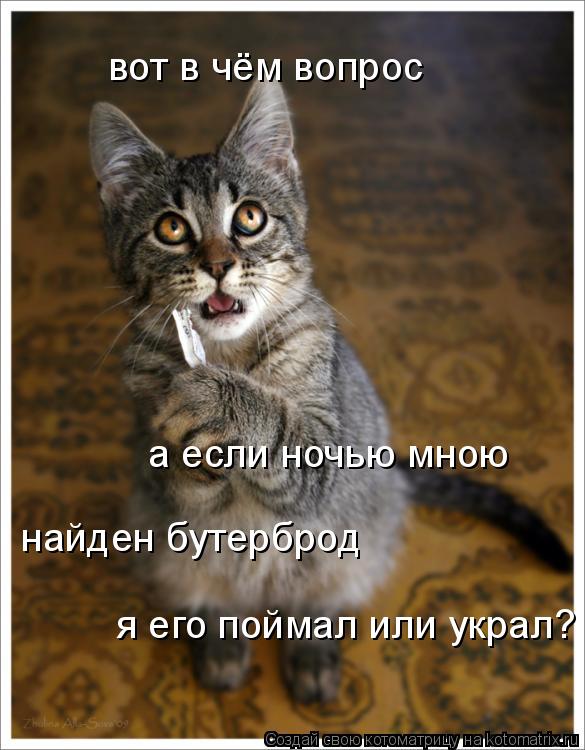 а если ночью мною найден бутерброд я его поймал или украл? вот в чём вопрос... Котоматрица: а если ночью мною найден бутерброд я его поймал или украл? вот в чём вопрос