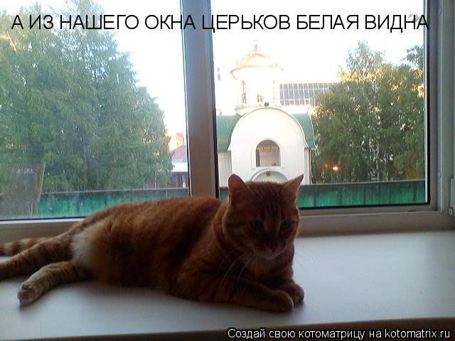 А ИЗ НАШЕГО ОКНА ЦЕРЬКОВ БЕЛАЯ ВИДНА... Котоматрица: А ИЗ НАШЕГО ОКНА ЦЕРЬКОВ БЕЛАЯ ВИДНА