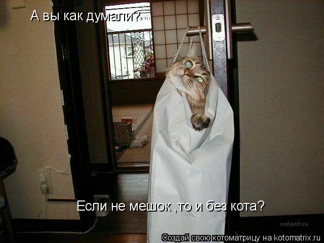 А вы как думали? Если не мешок ,то и без кота?... Котоматрица: А вы как думали? Если не мешок ,то и без кота?