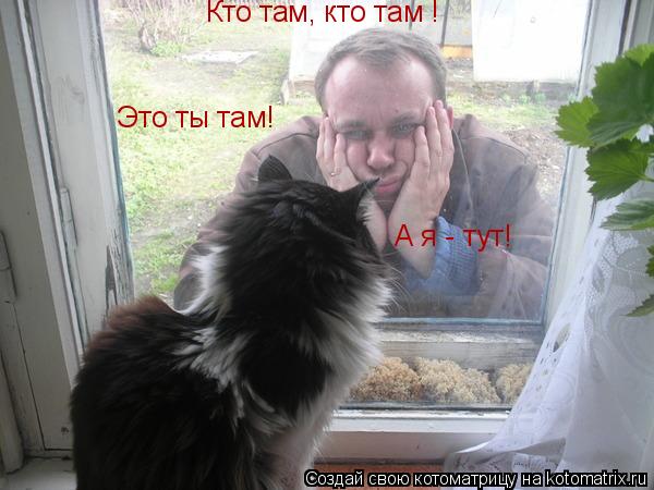Кто там, кто там ! Это ты там! А я - тут!... Котоматрица: Кто там, кто там ! Это ты там! А я - тут!