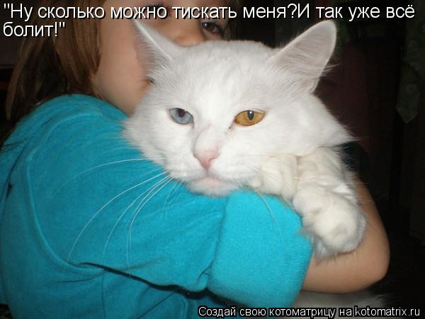 "Ну сколько можно тискать меня?И так уже всё болит!"... Котоматрица: "Ну сколько можно тискать меня?И так уже всё болит!"