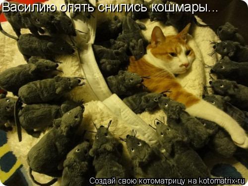 Василию опять снились кошмары...... Котоматрица: Василию опять снились кошмары...