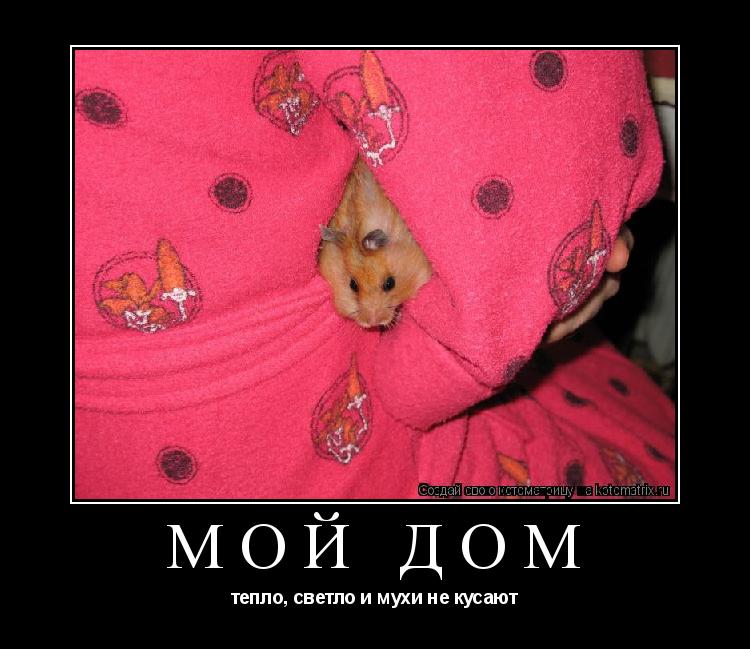 Котоматрица: мой дом тепло, светло и мухи не кусают