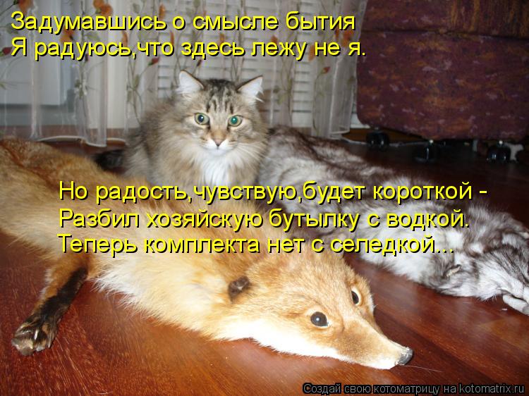 Задумавшись о смысле бытия Я радуюсь,что здесь лежу не я. Но радость,чувствую,будет короткой - Разбил... Котоматрица: Задумавшись о смысле бытия Я радуюсь,что здесь лежу не я. Но радость,чувствую,будет короткой - Разбил хозяйскую бутылку с водкой. Теперь ком