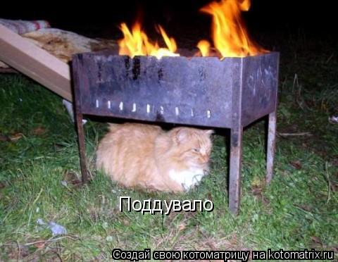 Поддувало... Котоматрица: Поддувало