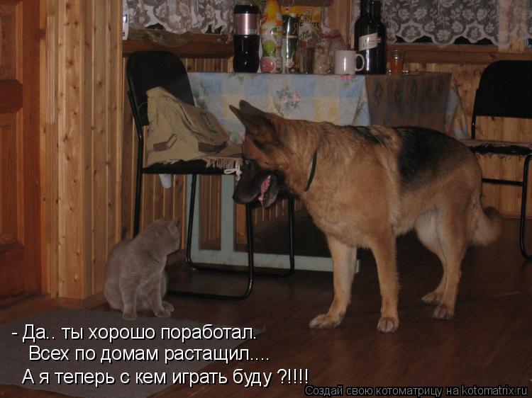 - Да.. ты хорошо поработал. Всех по домам растащил.... А я теперь с кем играть буду ?!!!!... Котоматрица: - Да.. ты хорошо поработал. Всех по домам растащил.... А я теперь с кем играть буду ?!!!!