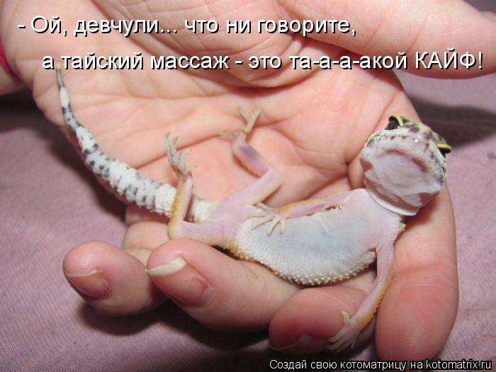 - Ой, девчули... что ни говорите, а тайский массаж - это та-а-а-акой КАЙФ!... Котоматрица: - Ой, девчули... что ни говорите, а тайский массаж - это та-а-а-акой КАЙФ!