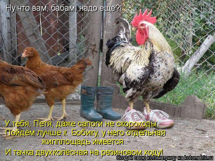 Ну что вам, бабам, надо ещё?! У тебя, Петя, даже сапоги не скороходы. Пойдём лучше к Бобику, у него ... Котоматрица: Ну что вам, бабам, надо ещё?! У тебя, Петя, даже сапоги не скороходы. Пойдём лучше к Бобику, у него отдельная жилплощадь имеется И тачка двухк