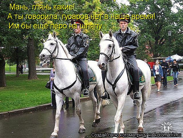 Мань, глянь какие! А ты говорила, гусаров нет в наше время! Им бы ещё перо на шляпу...... Котоматрица: Мань, глянь какие! А ты говорила, гусаров нет в наше время! Им бы ещё перо на шляпу...