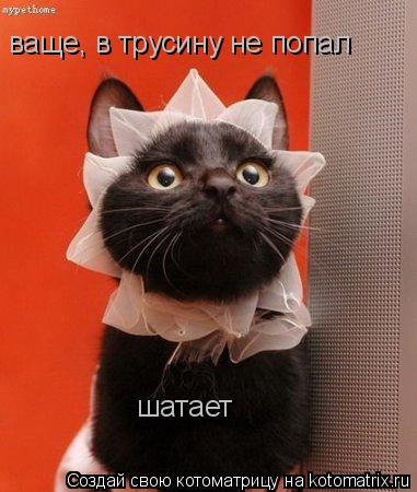 ваще, в трусину не попал шатает... Котоматрица: ваще, в трусину не попал шатает