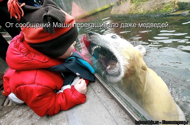 От сообщений Маши перекашивало даже медведей... Котоматрица: От сообщений Маши перекашивало даже медведей