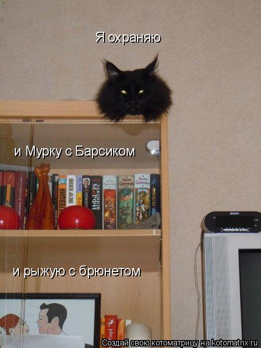 Котоматрица: Я охраняю и Мурку с Барсиком и рыжую с брюнетом