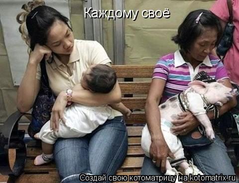 Каждому своё... Котоматрица: Каждому своё