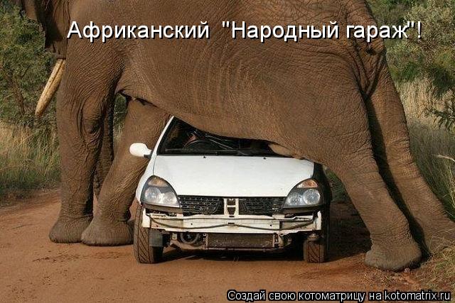 Котоматрица: Африканский  "Народный гараж"!