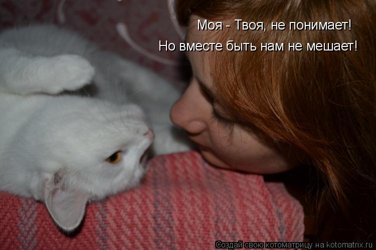 Котоматрица: Моя - Твоя, не понимает! Но вместе быть нам не мешает!