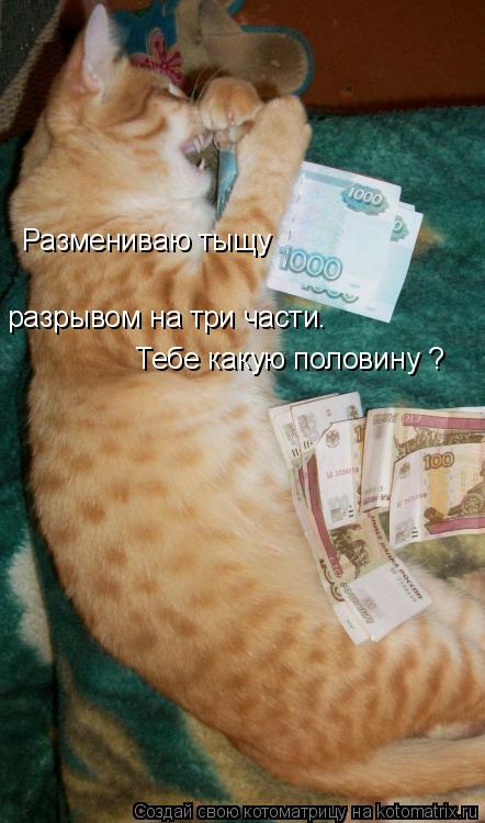 Котоматрица: Размениваю тыщу разрывом на три части. Тебе какую половину ?