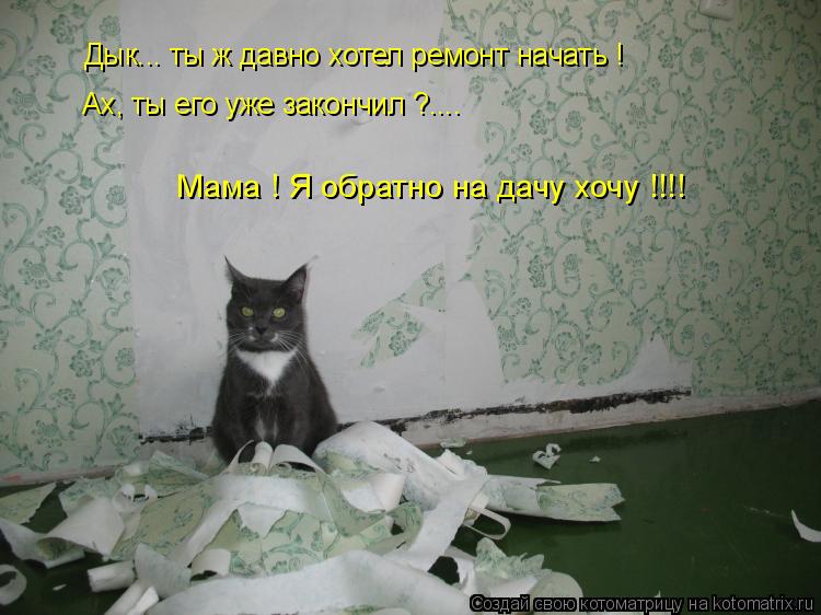 Дык... ты ж давно хотел ремонт начать ! Ах, ты его уже закончил ?.... Мама ! Я обратно на дачу хочу !... Котоматрица: Дык... ты ж давно хотел ремонт начать ! Ах, ты его уже закончил ?.... Мама ! Я обратно на дачу хочу !!!!