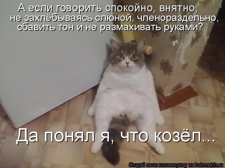 Котоматрица: А если говорить спокойно, внятно,  не захлёбываясь слюной, членораздельно,  сбавить тон и не размахивать руками? Да понял я, что козёл...