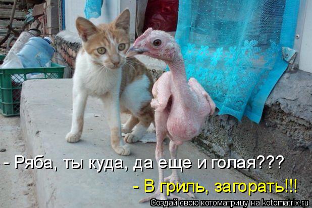 - Ряба, ты куда, да еще и голая??? - Ряба, ты куда, да еще и голая??? - В гриль, загорать!!!... Котоматрица: - Ряба, ты куда, да еще и голая??? - Ряба, ты куда, да еще и голая??? - В гриль, загорать!!!