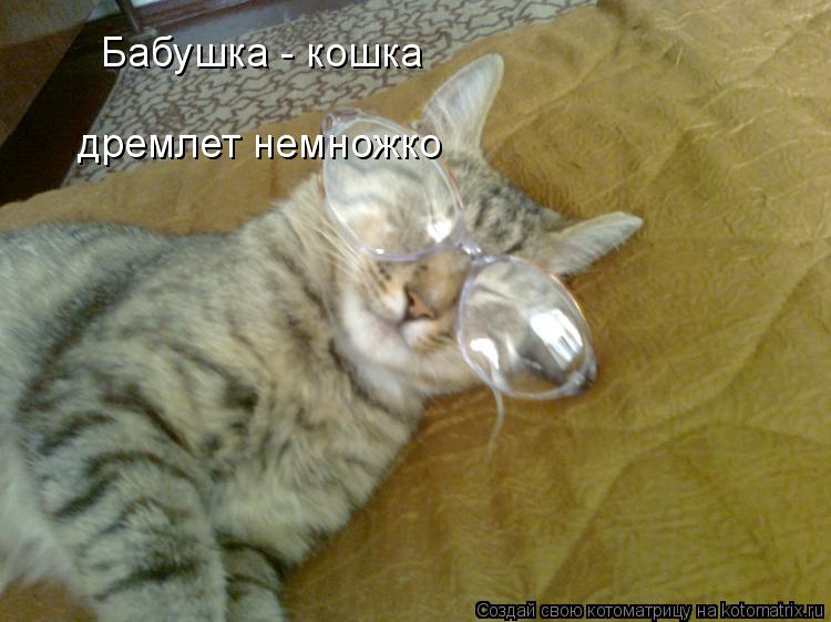 Бабушка - кошка дремлет немножко... Котоматрица: Бабушка - кошка дремлет немножко