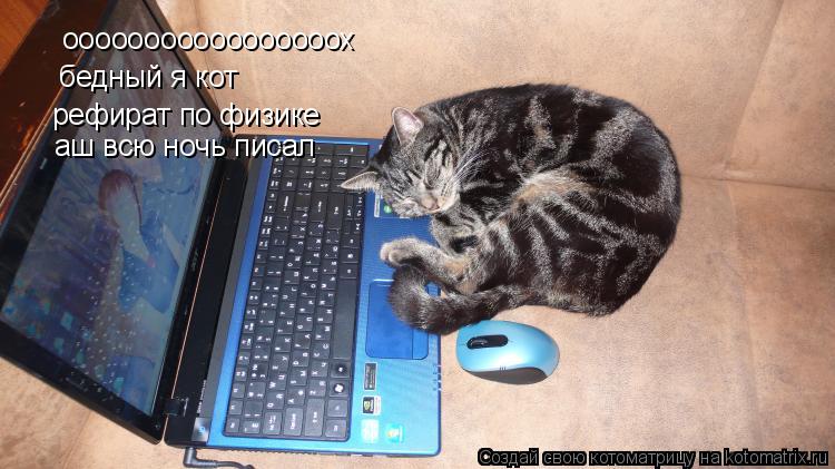 ооооооооооооооооох бедный я кот рефират по физике аш всю ночь писал... Котоматрица: ооооооооооооооооох бедный я кот рефират по физике аш всю ночь писал