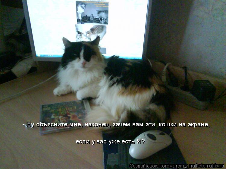 Котоматрица: - Ну объясните мне, наконец, зачем вам эти  кошки на экране, если у вас уже есть Я?
