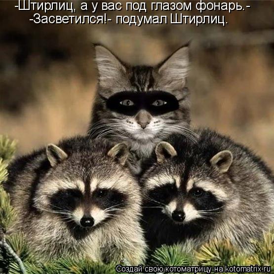 -Штирлиц, а у вас под глазом фонарь.- -Засветился!- подумал Штирлиц.... Котоматрица: -Штирлиц, а у вас под глазом фонарь.- -Засветился!- подумал Штирлиц.