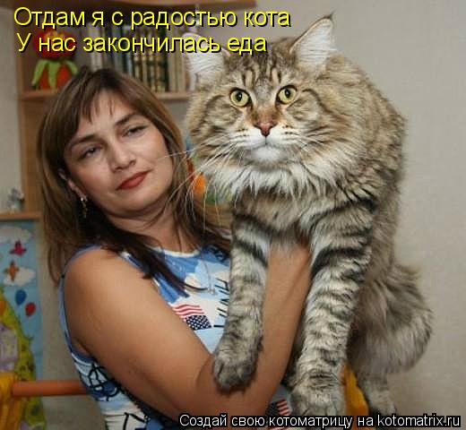 Котоматрица: Отдам я с радостью кота У нас закончилась еда