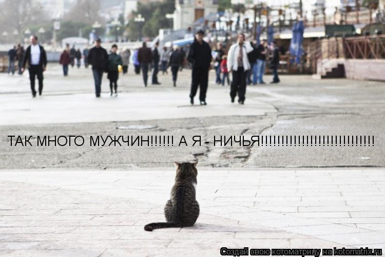 Котоматрица: ТАК МНОГО МУЖЧИН!!!!!! А Я - НИЧЬЯ!!!!!!!!!!!!!!!!!!!!!!!!!!!!