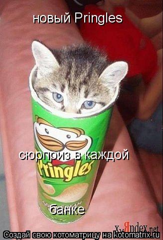 Котоматрица: новый Pringles  новый Pringles сюрприз в каждой банке