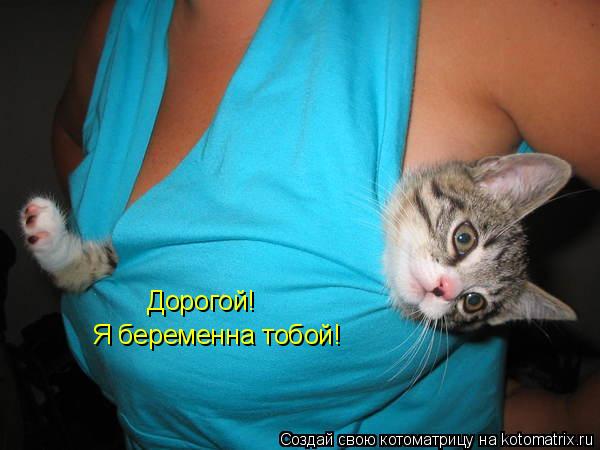 Котоматрица: Дорогой!                                                         Я беременна тобой!