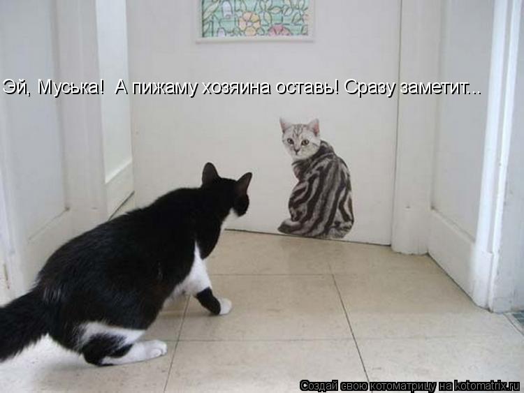 Котоматрица: Эй, Муська!  А пижаму хозяина оставь! Сразу заметит...